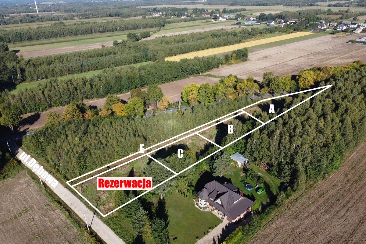 Aerial view of a rural property with a long triangular lot outlined in white and divided into sections labeled A through F along a tree-lined road; a red 'Rezerwacja' sign marks the first parcel.