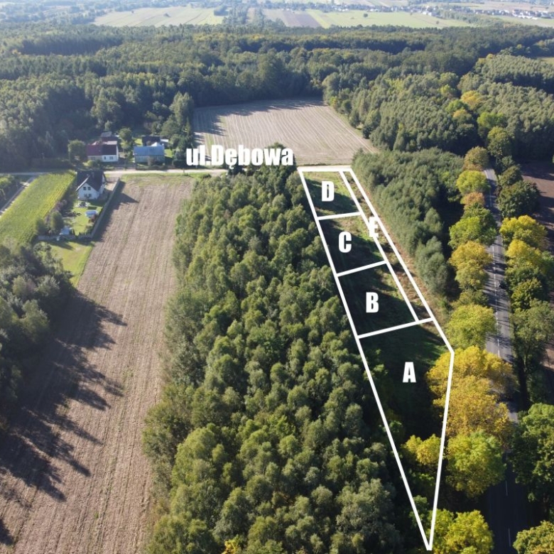 Aerial view of a triangular land parcel divided into four sections A–D along a tree-lined road.