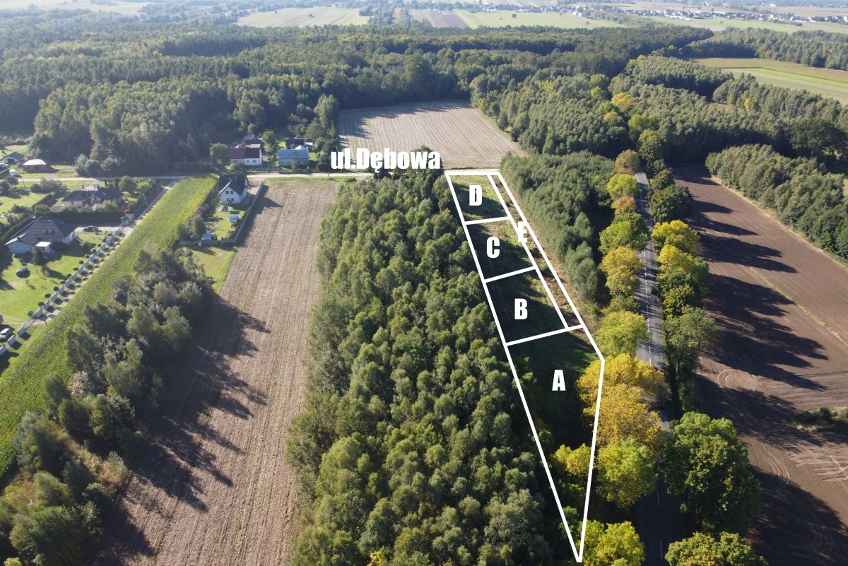 Aerial view of a triangular land parcel divided into four sections A–D along a tree-lined road.