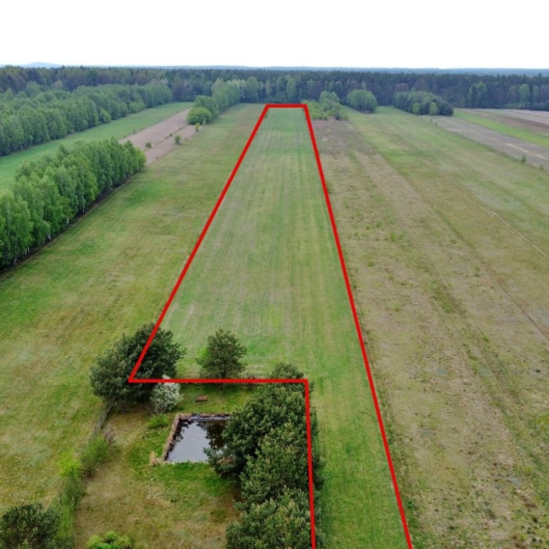 Aerial view of farmland with a red outline marking a long, narrow parcel shaped like a 4, bordered by trees and open fields at the edges.