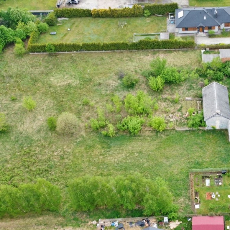 Aerial view of a suburban property: a large grassy plot with scattered trees, bordered by houses and gardens nearby.