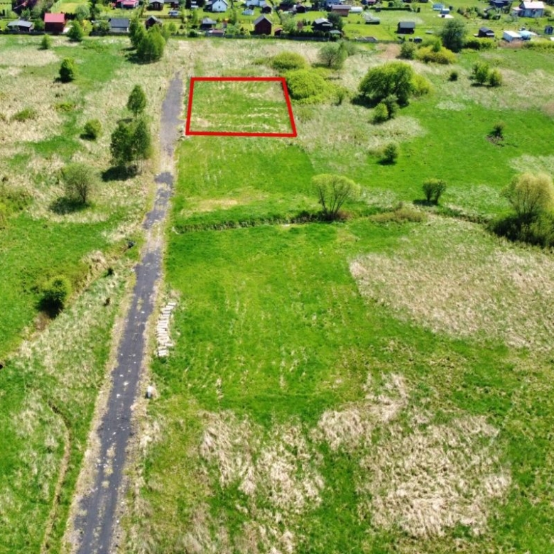 Aerial view of a green rural field with a rectangular plot outlined in red near a dirt road.