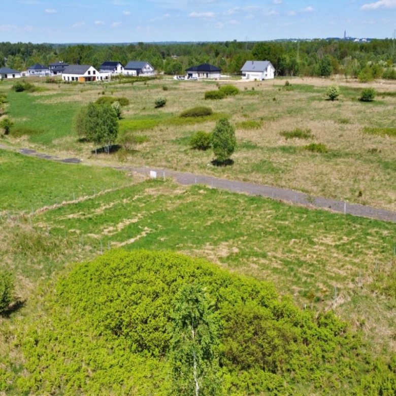 Open suburban field with scattered trees and a row of new houses along the horizon, a paved path cutting through the grass in the foreground.