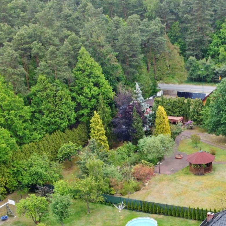 Lush backyard garden with a wooden gazebo, circular pool, and dense trees along a fence, with a road beyond.