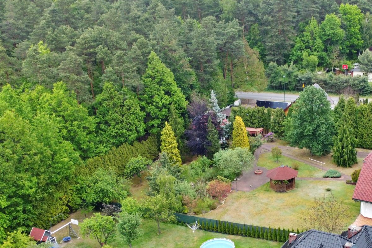 Lush backyard garden with a wooden gazebo, circular pool, and dense trees along a fence, with a road beyond.