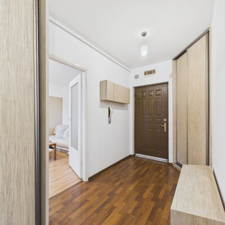 Entry hall with a dark brown front door, light wood storage along the right, and a bench; view toward the living room doorway.