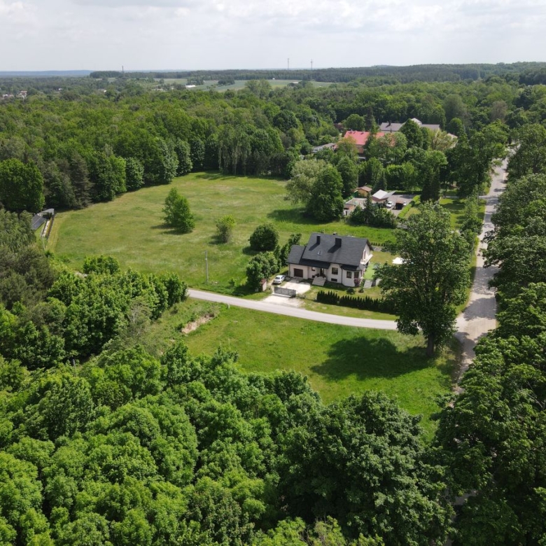 Aerial view of a suburban neighborhood with a large grassy lot bordered by trees and several houses along tree-lined streets.