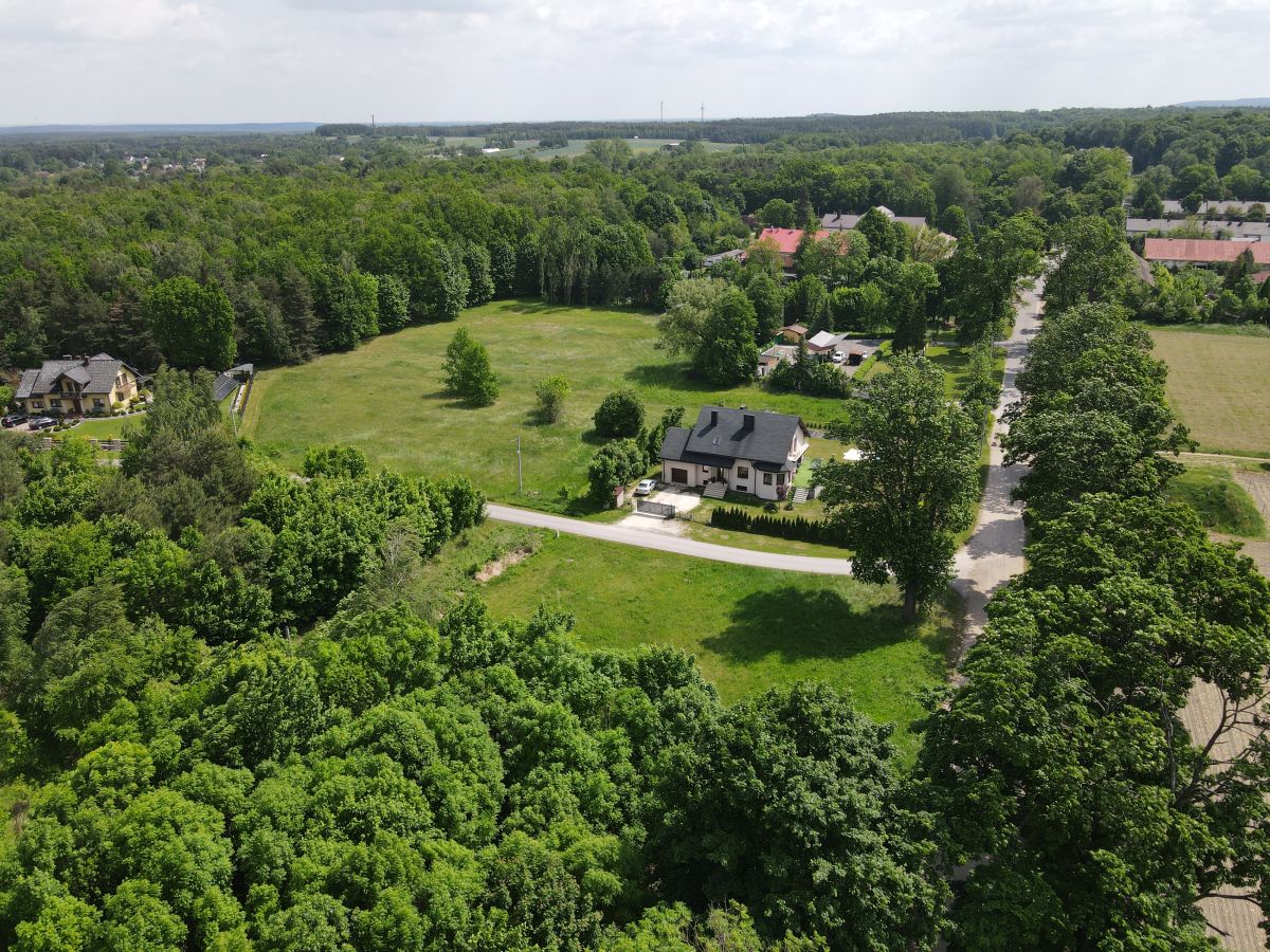 Aerial view of a suburban neighborhood with a large grassy lot bordered by trees and several houses along tree-lined streets.