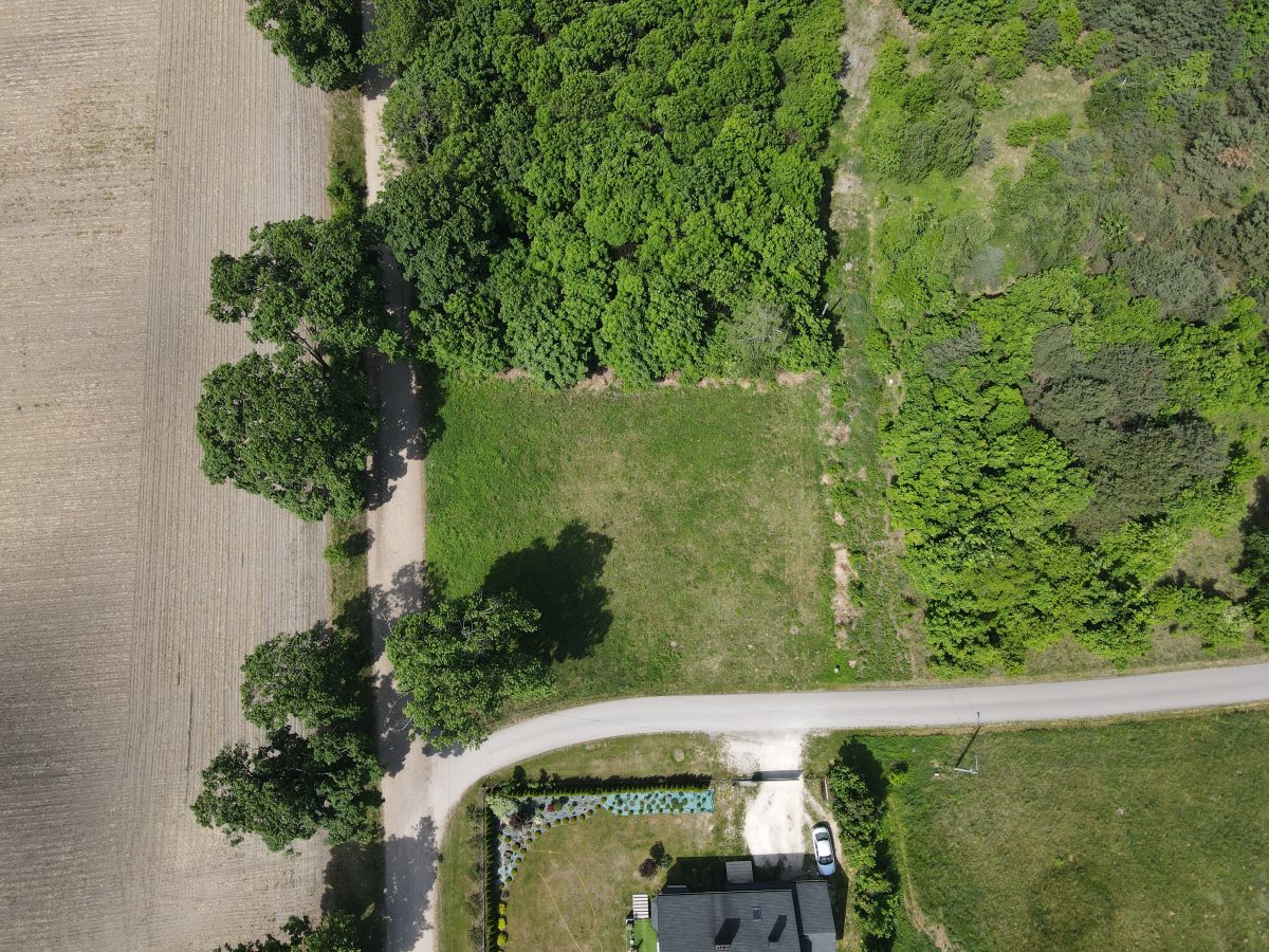 Aerial view of a rural property: a curved road to a house, a grassy yard, and dense trees on both sides with a plowed field to the left.
