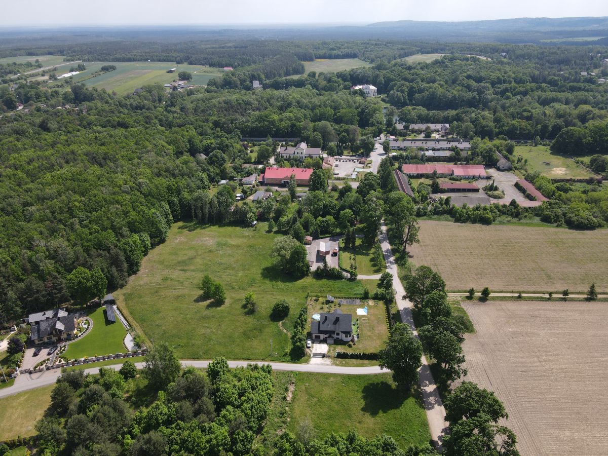 Aerial view of a rural village with green fields, trees, and scattered houses along a road network