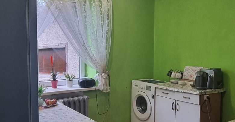 Bright green kitchen with a window, lace curtain, and potted plants on the windowsill; a washing machine and small counter with appliances nearby.