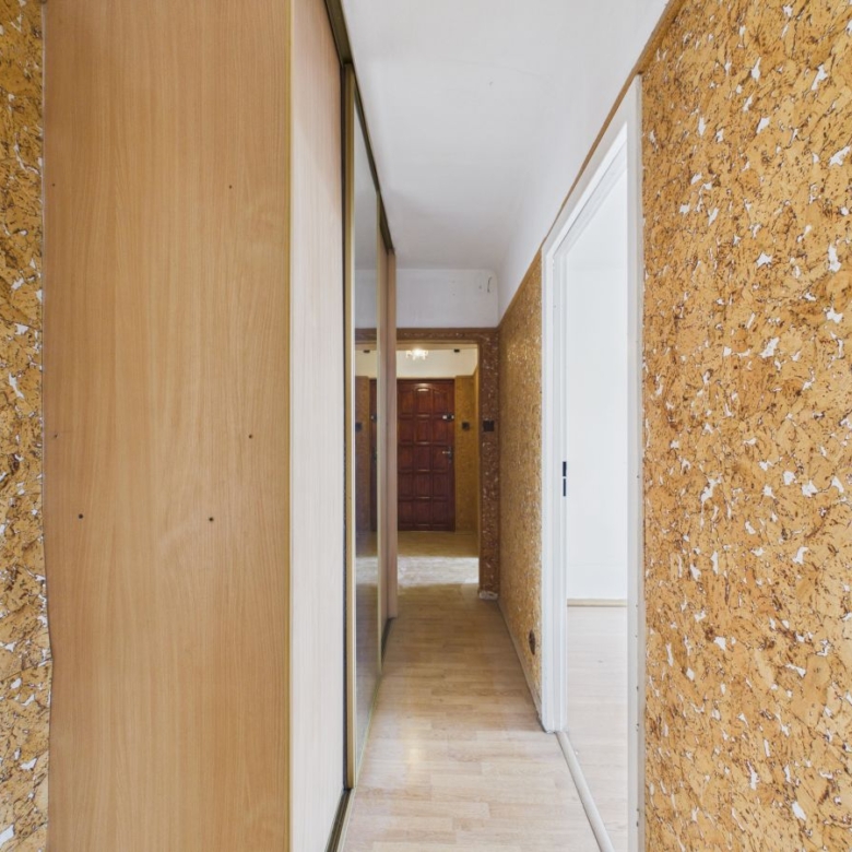 Narrow hallway with cork walls and a wood-paneled closet on the left, white doorway on the right, leading to a brown door at the far end.