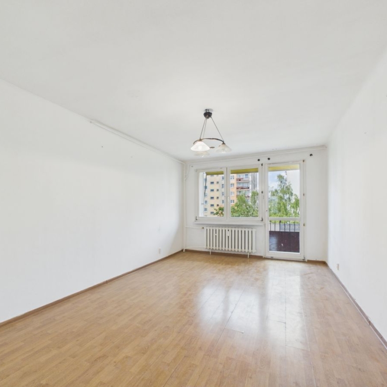 Empty living room with white walls, light wood floor, and a glass door to a balcony under a small ceiling light fixture.