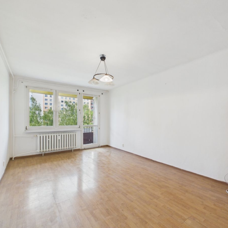 Empty living room with light wood floor, white walls, and a large windowed wall facing trees; a radiator under the windows and a balcony door visible, plus a small wooden TV stand on the right.
