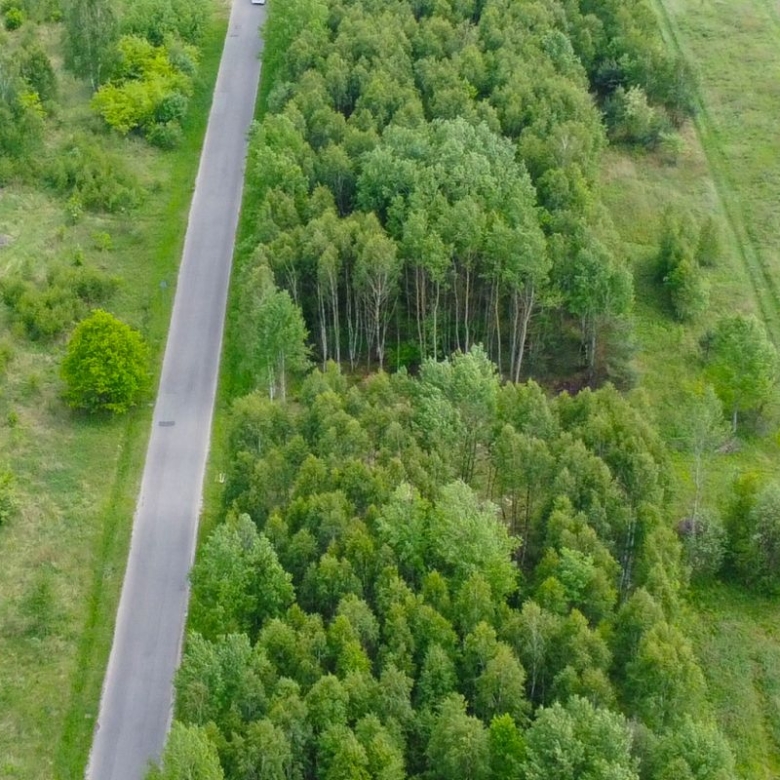 Aerial view of a narrow paved road running north-south through green fields, with a dense forest on one side and open grassy land on the other.