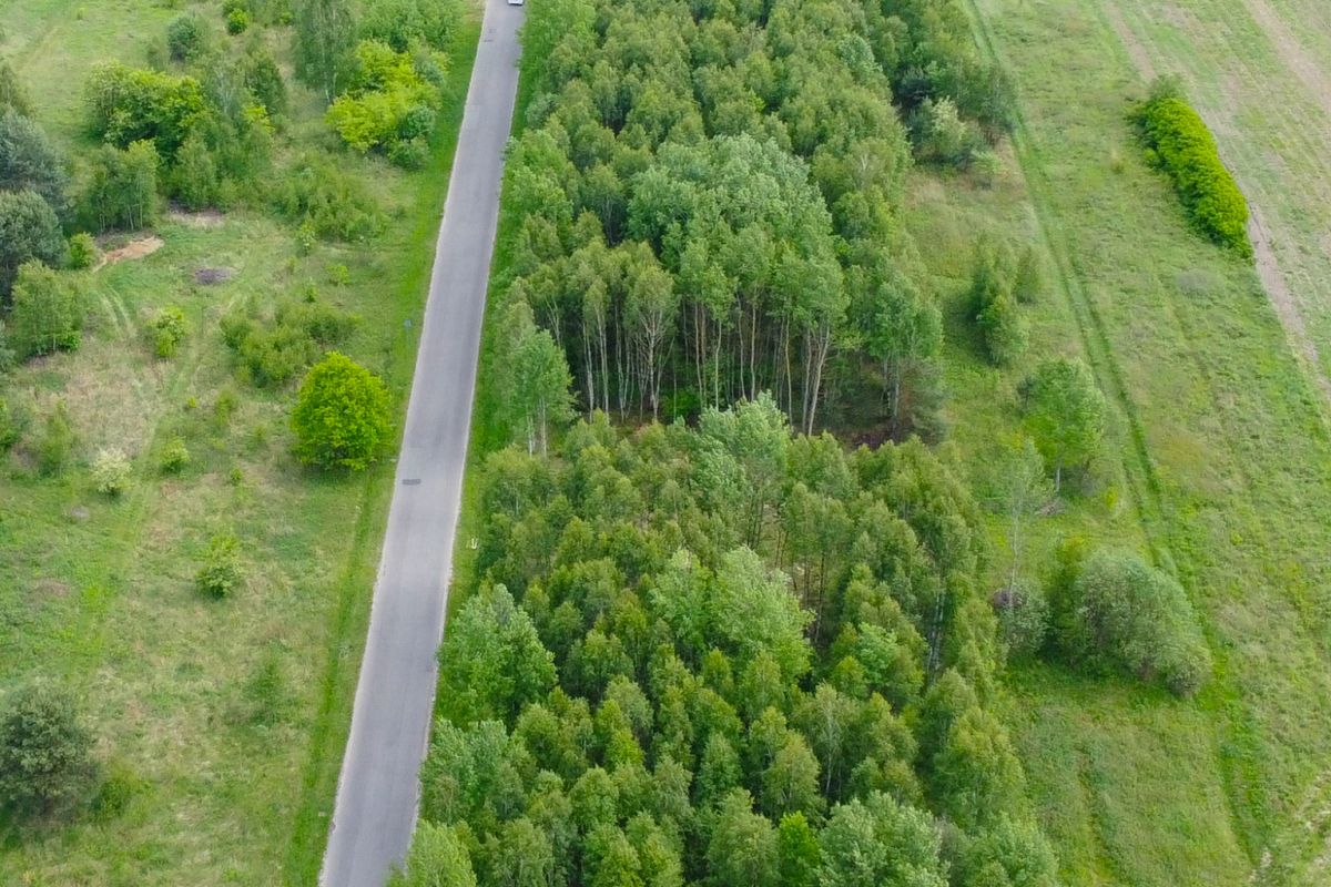 Aerial view of a narrow paved road running north-south through green fields, with a dense forest on one side and open grassy land on the other.
