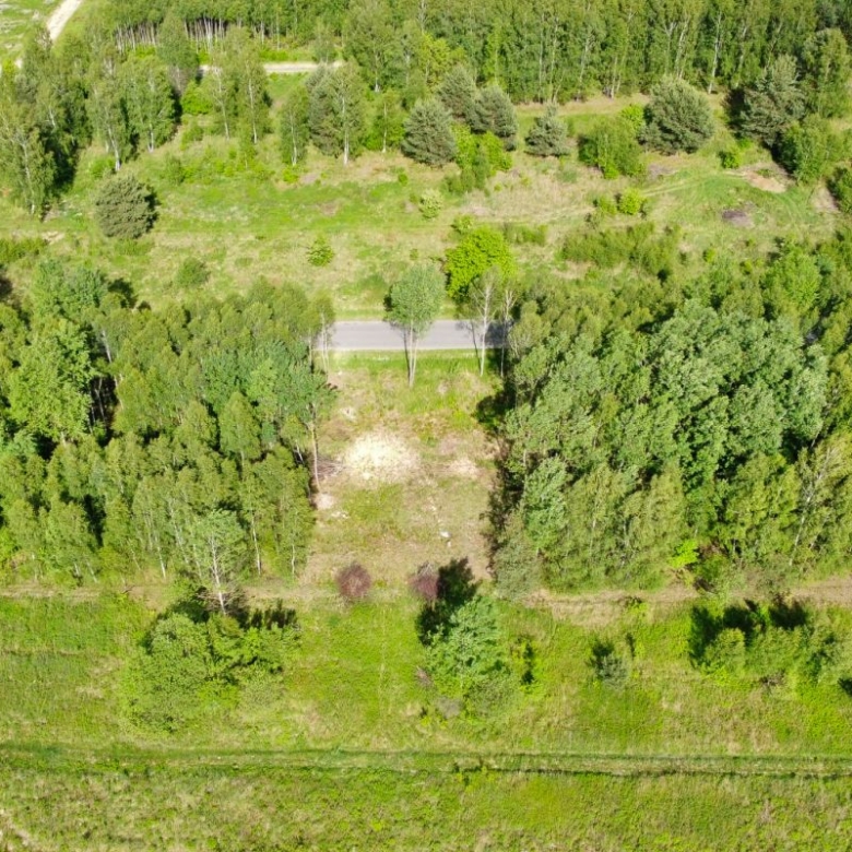 Aerial view of a rural landscape with a road through a forested area and open fields on either side.