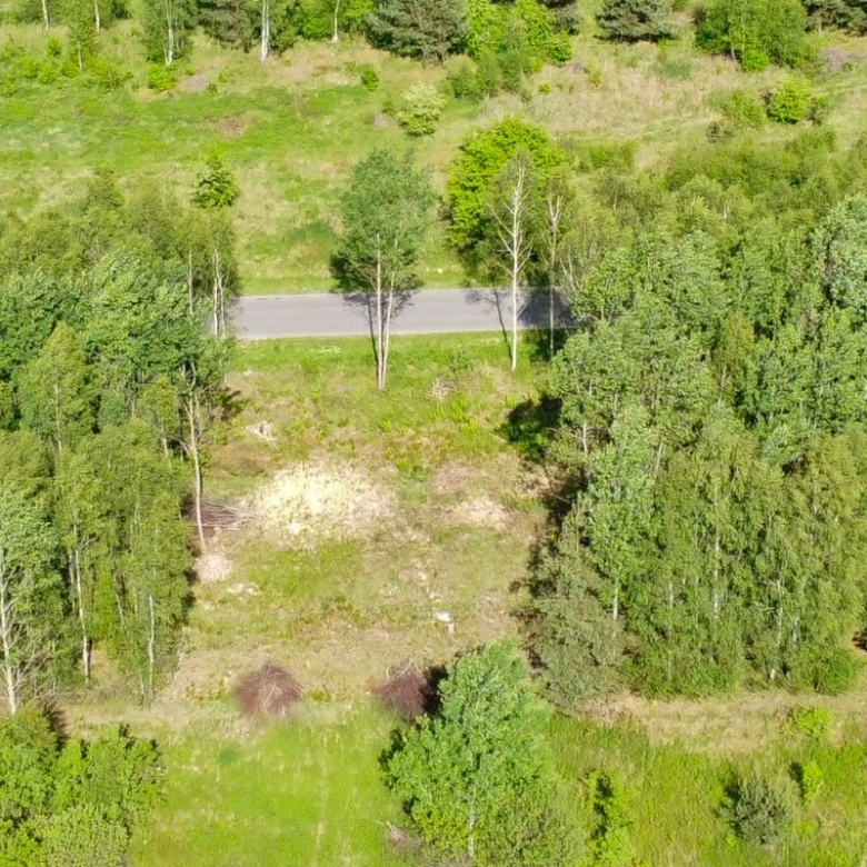 Aerial view of a green forest with a paved road cutting horizontally through the middle.