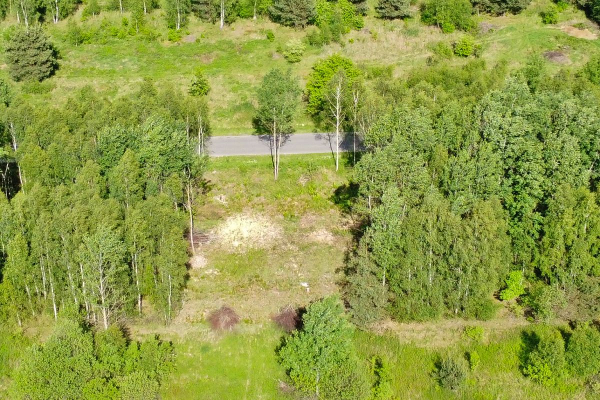Aerial view of a green forest with a paved road cutting horizontally through the middle.