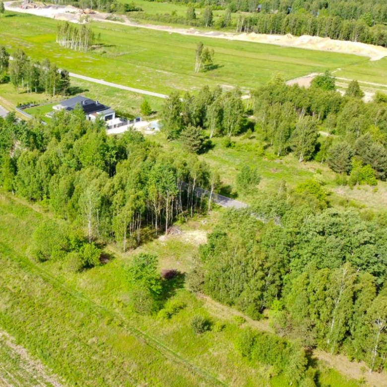 Aerial view of a rural landscape with green fields, a winding road, and clusters of trees surrounding houses.