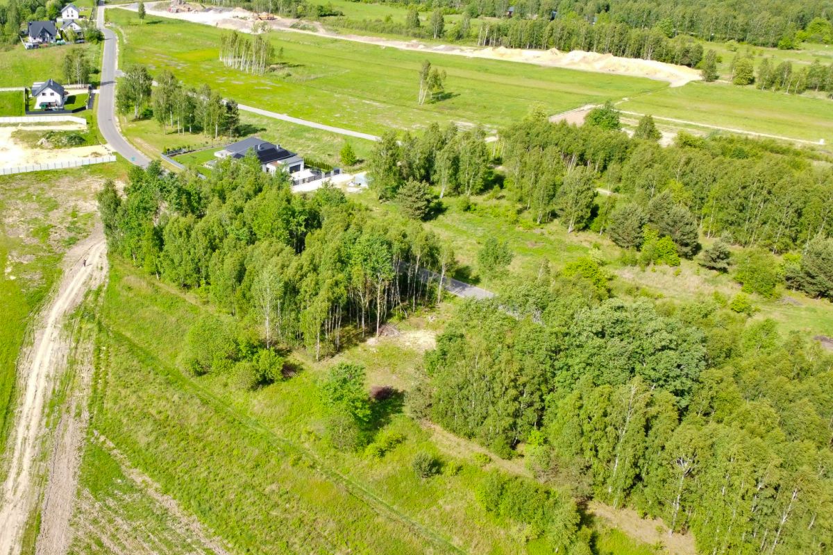 Aerial view of a rural landscape with green fields, a winding road, and clusters of trees surrounding houses.