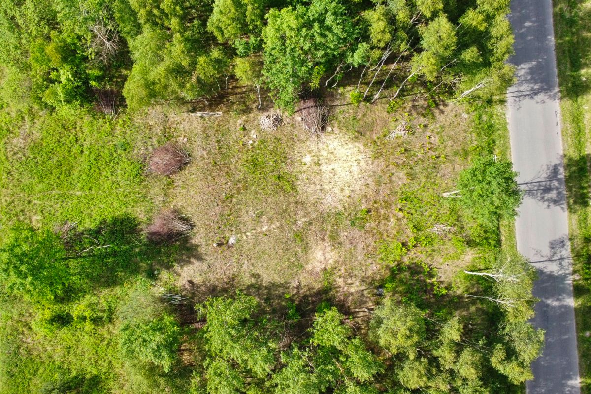 Aerial view of a grassy clearing surrounded by dense green forest; a paved road runs along the right edge of the scene.