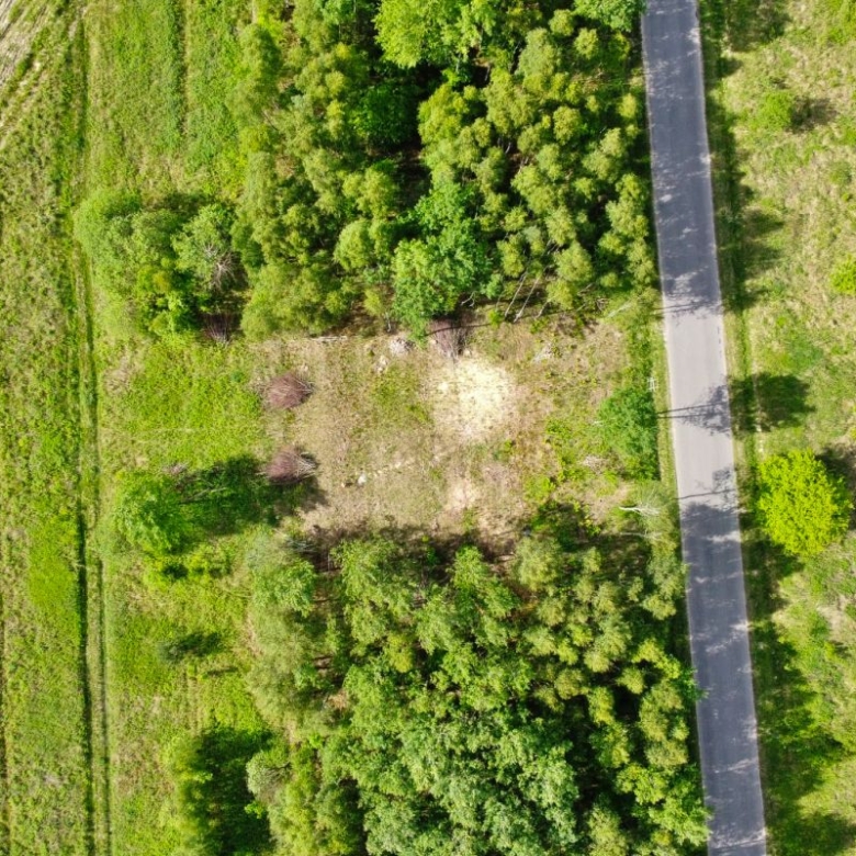 Aerial view of a narrow road running through a grassy landscape with trees on both sides and a small clear patch nearby.