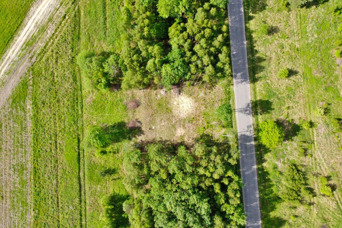 Aerial view of a narrow road running through a grassy landscape with trees on both sides and a small clear patch nearby.