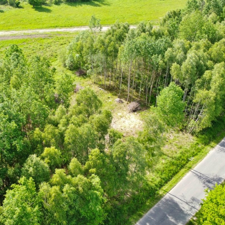 Aerial view of a vacant wooded lot with a small clearing surrounded by dense green trees, beside a paved road on the right.