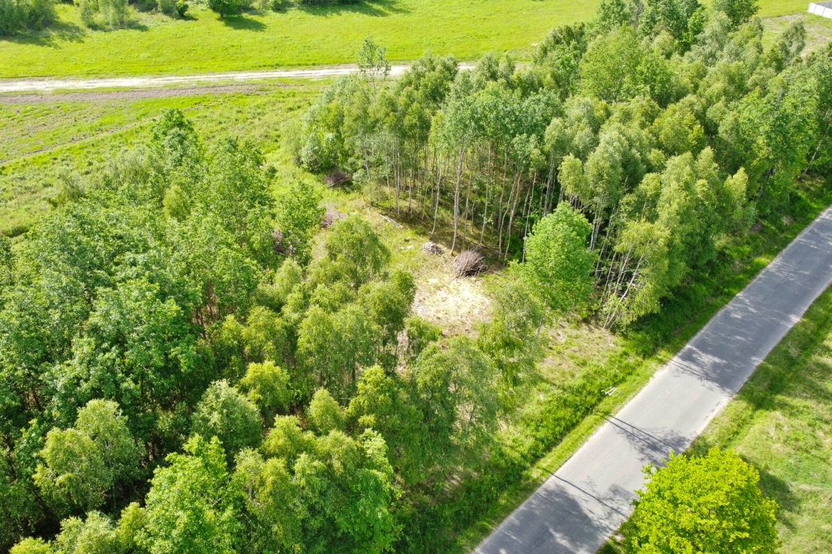 Aerial view of a vacant wooded lot with a small clearing surrounded by dense green trees, beside a paved road on the right.