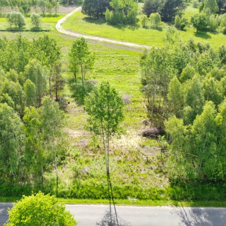 Aerial view of a road at the bottom with a grassy clearing and dense green trees beyond it, and a winding dirt path through a field in the distance