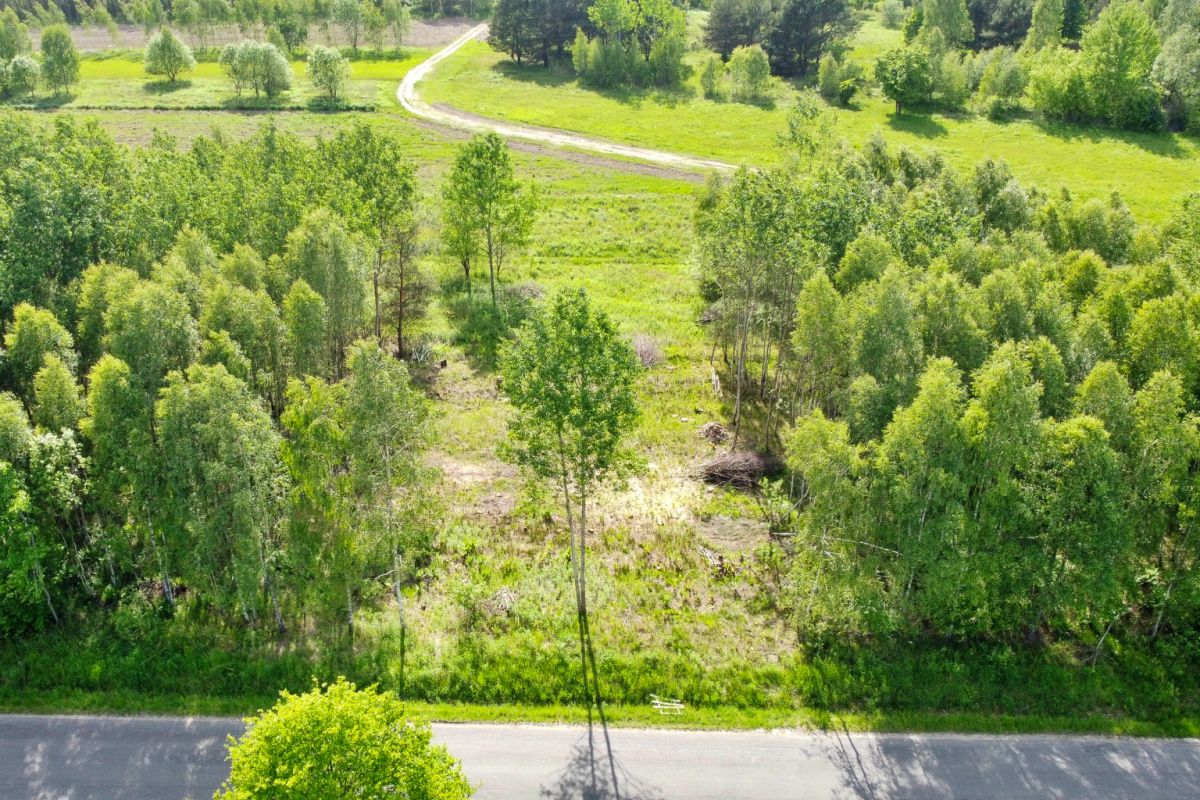 Aerial view of a road at the bottom with a grassy clearing and dense green trees beyond it, and a winding dirt path through a field in the distance
