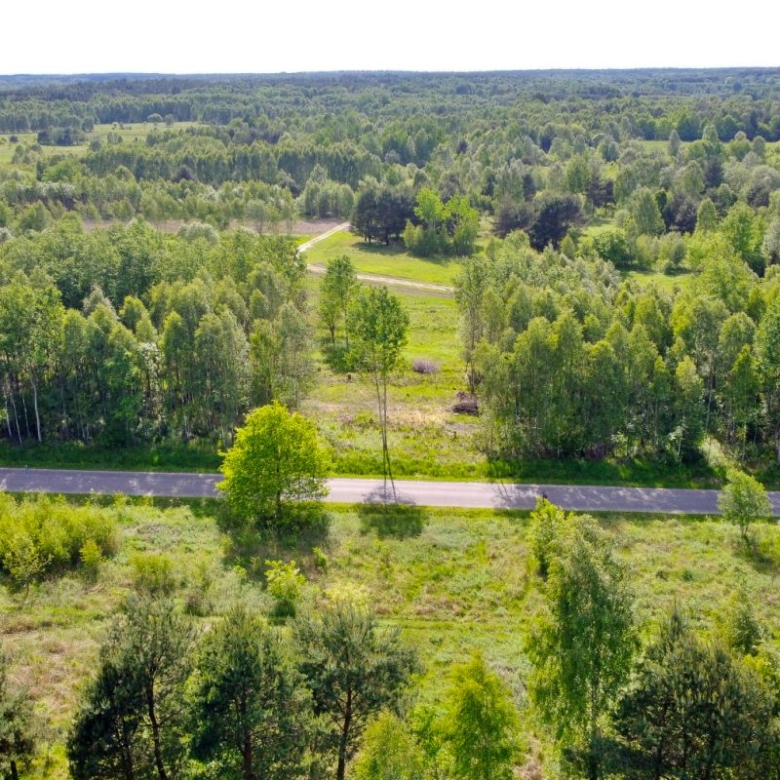 Aerial view of a rural landscape with a paved road running horizontally through the green fields and trees scattered along the edges.