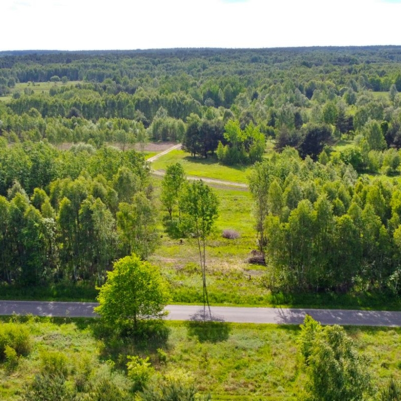 Aerial view of a rural landscape: dense forest with a paved road at the bottom and small clearings farther in the fields.