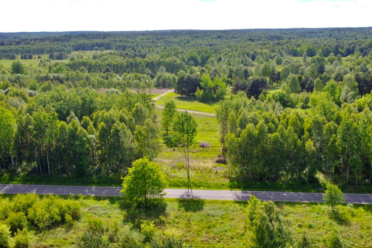 Aerial view of a rural landscape: dense forest with a paved road at the bottom and small clearings farther in the fields.
