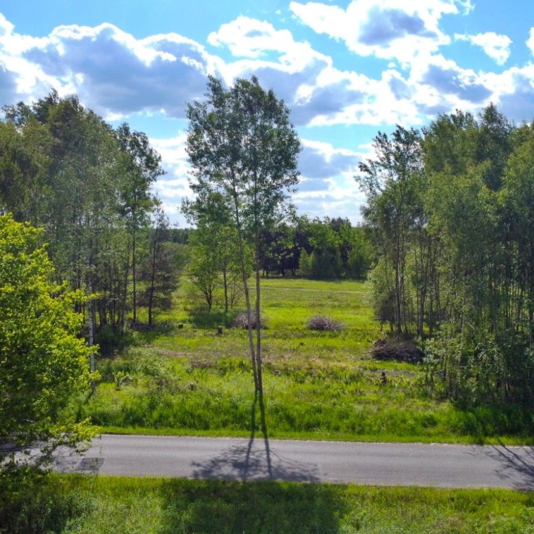 Sunny landscape with green field and clusters of trees, a road at the bottom under a blue, cloud-filled sky.