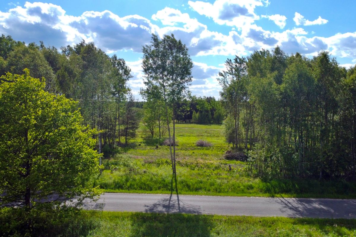 Sunny landscape with green field and clusters of trees, a road at the bottom under a blue, cloud-filled sky.