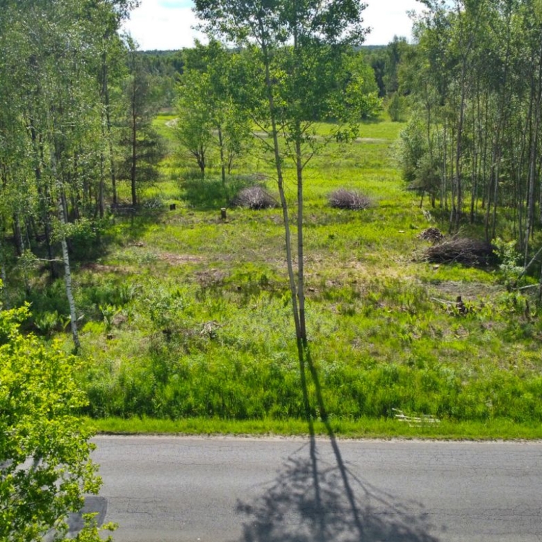 A vacant grassy lot bordered by trees with piles of brush, and a road at the front; a tall utility pole casts a long shadow across the pavement.