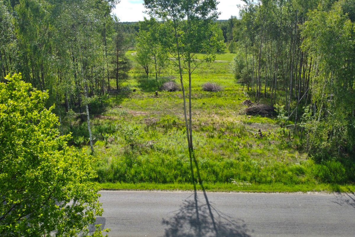 A vacant grassy lot bordered by trees with piles of brush, and a road at the front; a tall utility pole casts a long shadow across the pavement.