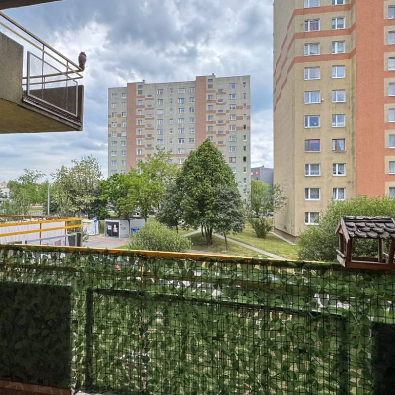 Balcony view of a residential courtyard with trees and tall apartment buildings; a bird sits on a ledge to the left.