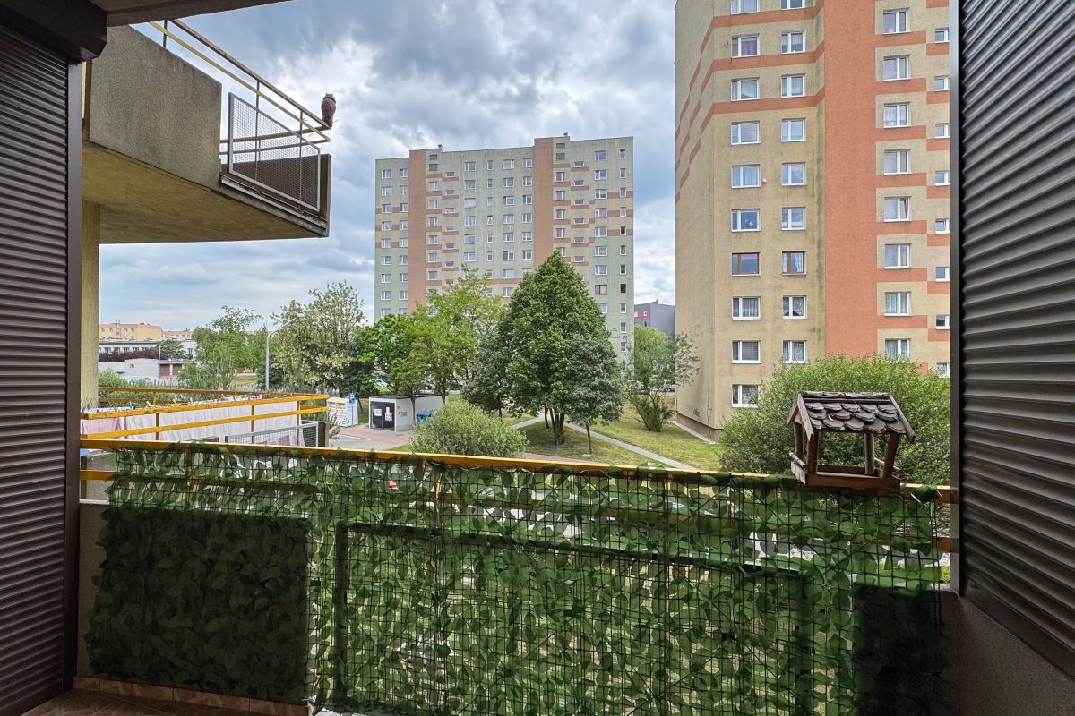 Balcony view of a residential courtyard with trees and tall apartment buildings; a bird sits on a ledge to the left.