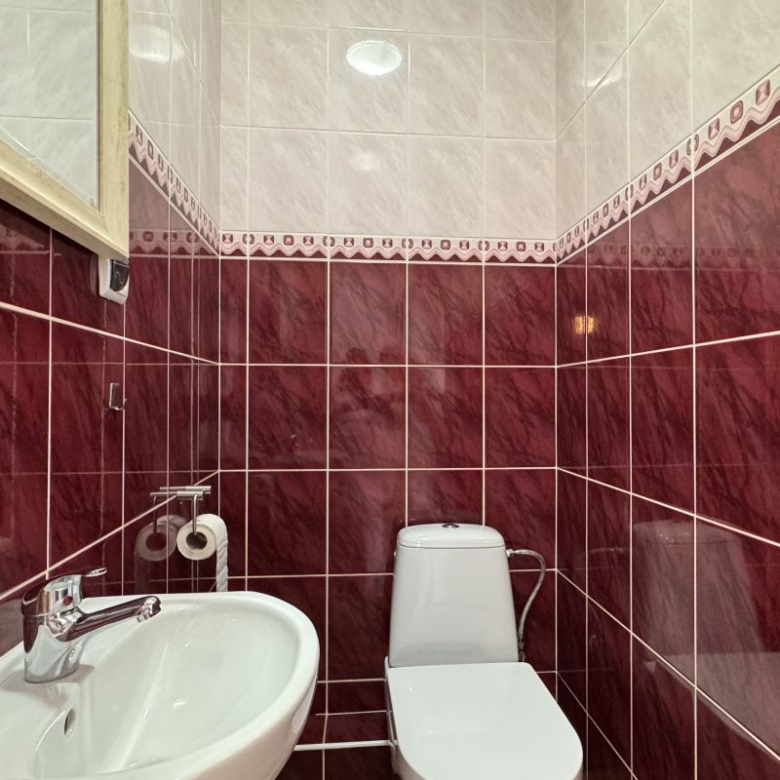 Small burgundy-tiled bathroom with a white sink and toilet, a wall mirror cabinet, and a toilet paper holder visible on the wall.