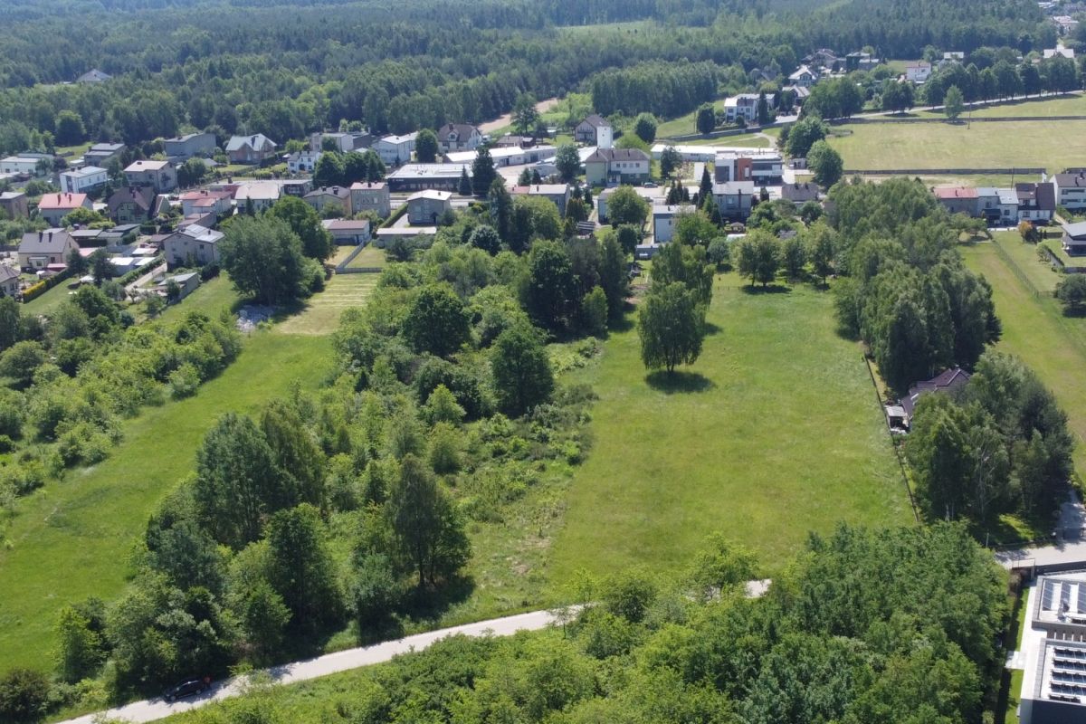 Aerial view of a small town with green fields, scattered trees, and houses along streets, with a road in the foreground.