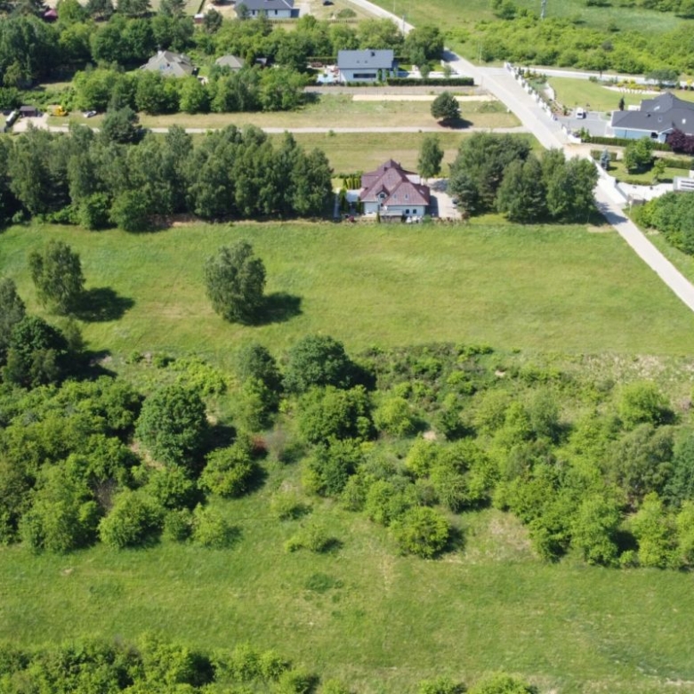 Aerial view of a residential area with a red-roofed house surrounded by trees, open grassy fields, and a network of roads.