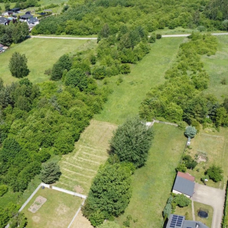 Aerial view of a large grassy park area with clusters of trees, bordered by houses and roads in a suburban neighborhood.