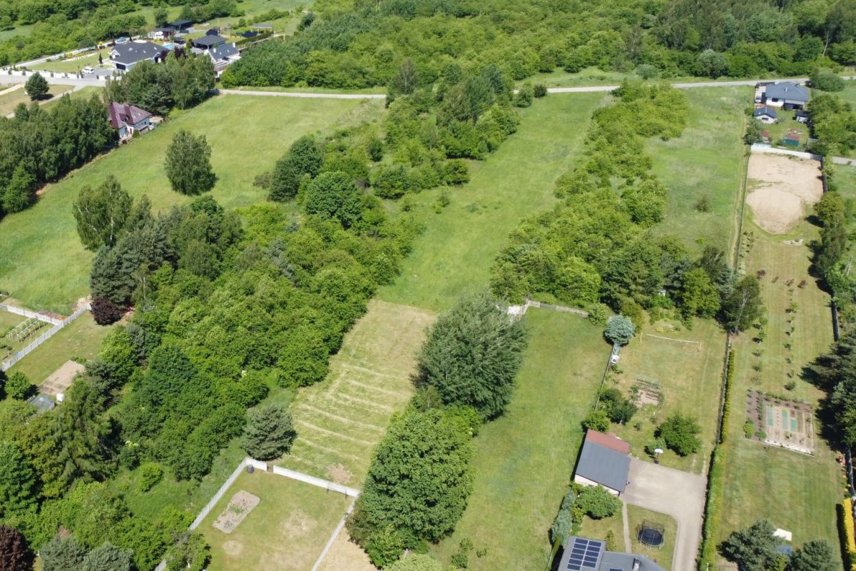 Aerial view of a large grassy park area with clusters of trees, bordered by houses and roads in a suburban neighborhood.
