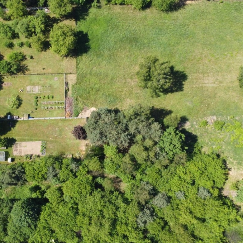 Aerial view of a yard with garden beds, a few structures, and a dense line of trees along a grassy field area at the edge of a property.