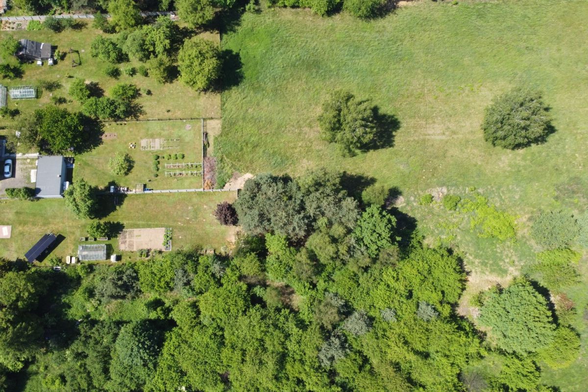 Aerial view of a yard with garden beds, a few structures, and a dense line of trees along a grassy field area at the edge of a property.