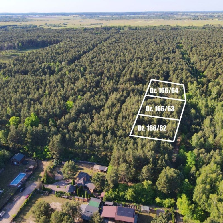 Aerial view of a dense forest with three white-outlined parcels labeled DZ 166/64, DZ 166/63 and DZ 166/62; houses with a pool are at bottom-left.