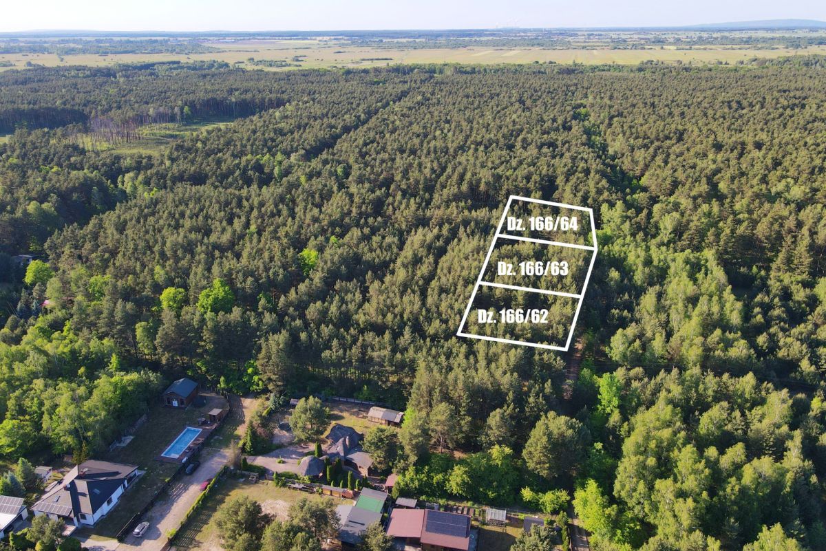 Aerial view of a dense forest with three white-outlined parcels labeled DZ 166/64, DZ 166/63 and DZ 166/62; houses with a pool are at bottom-left.